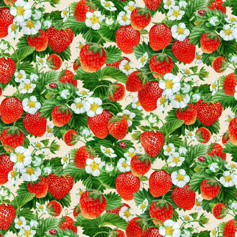 STRAWBERRY FIELDS, PACKED STRAWBERRY VINES