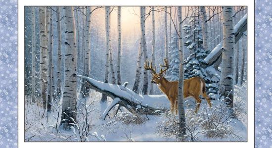 7904-snow Winter-Sonnenaufgang