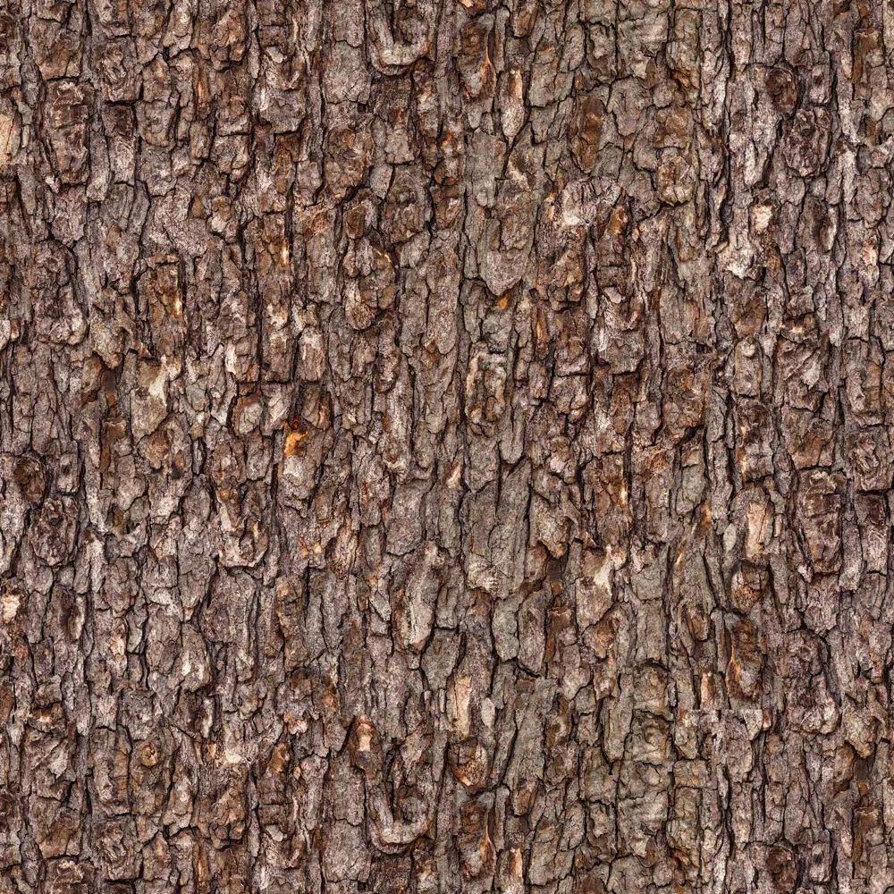 Bark brown