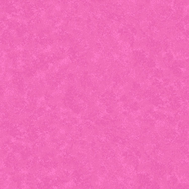 Spraytime Fuchsia