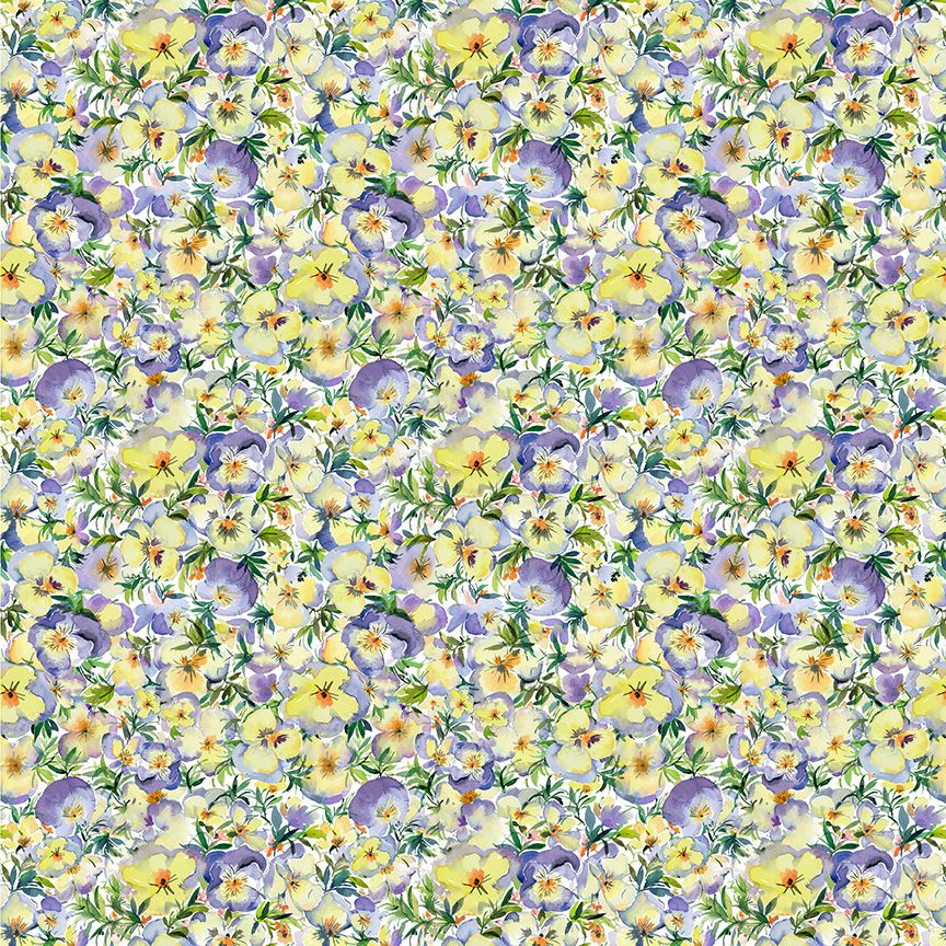 VIOLETA, PERFECT PANSIES - Yellow