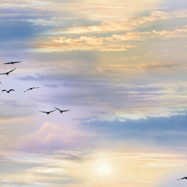 Landscapes AFRICAN SKY multi