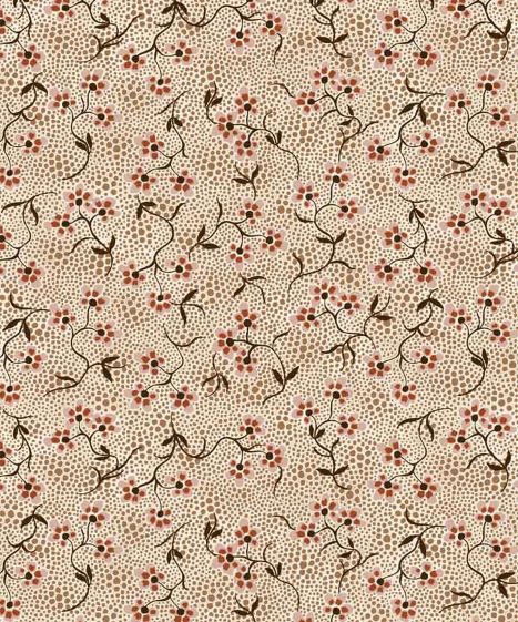 Filippas Line - Ranke hellbraun