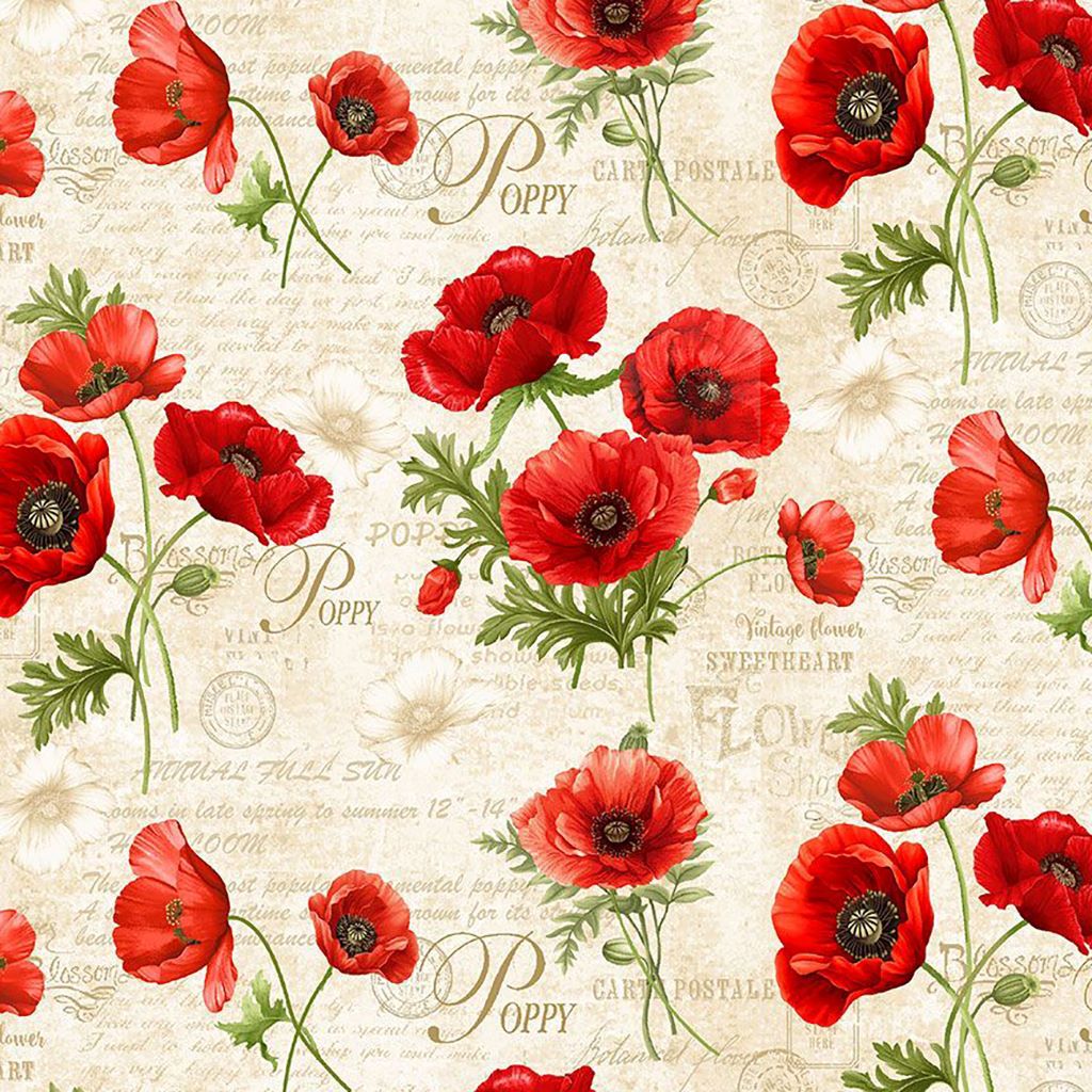POPPY FLORAL & TEXT