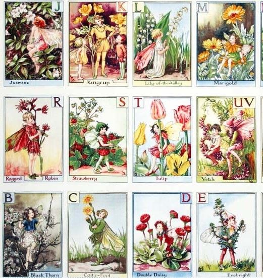 Fan Favorite - Alphabet Panel 