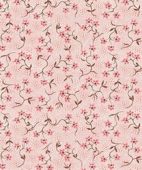 Filippas Line - Ranke rose