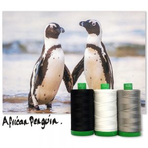 African Penguin von Aurifil