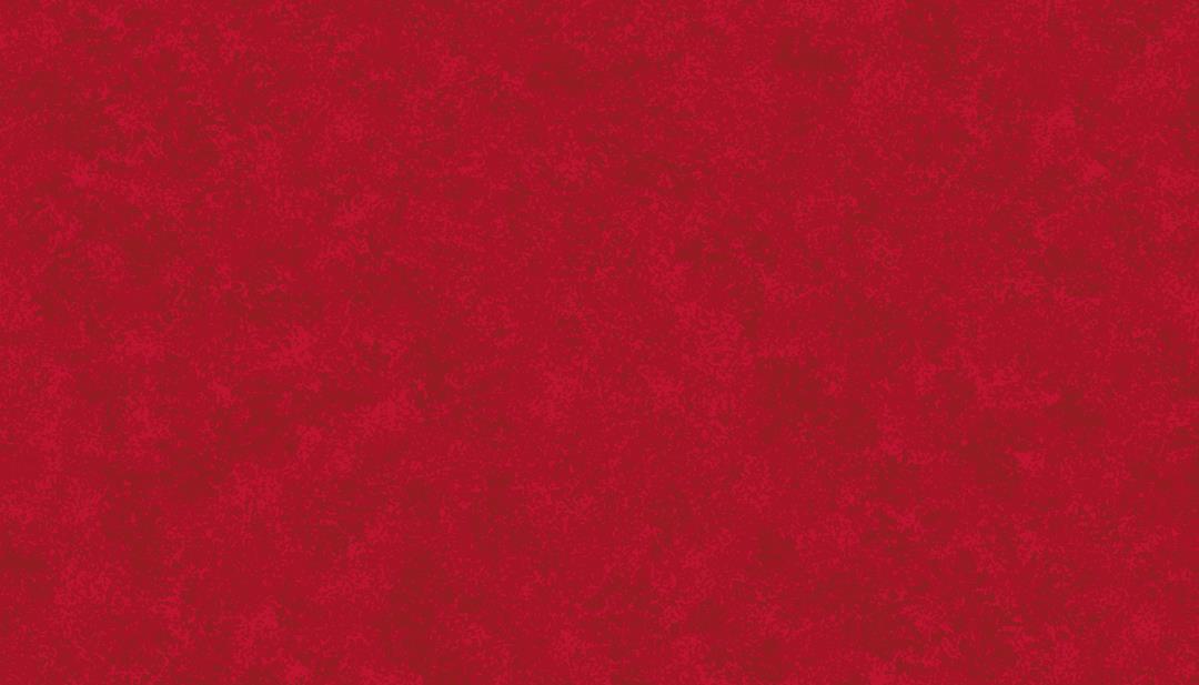 Spraytime Christmas Red