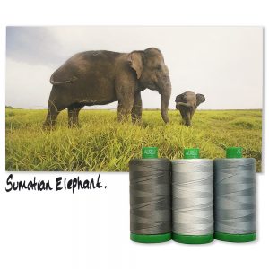 Sumatran Elephant von Aurifil