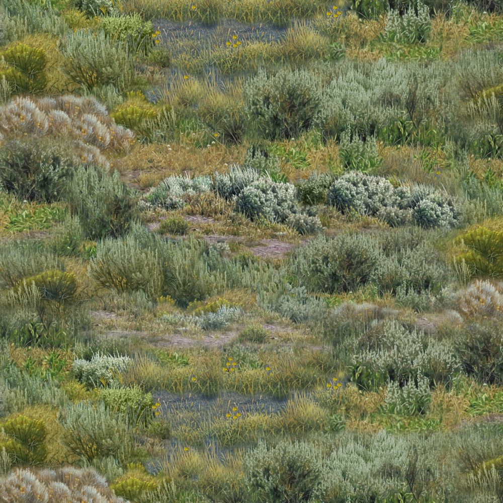 LANDSCAPE MEDLEY, PRAIRIE - GREEN